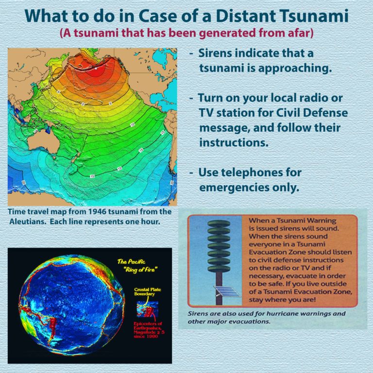 Pacific tsunami museum webcam