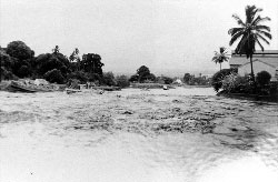 Boats washed ashore along the Wailoa River during the 1952 tsunami.