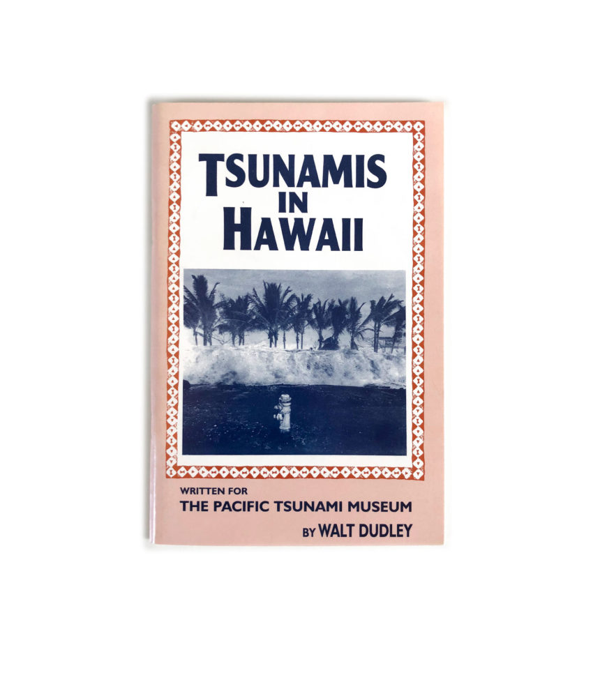 Hawaii tsunami webcam