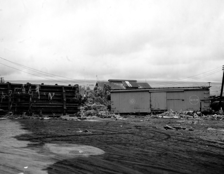 Displaced train cars, including Boxcar #284, after the April 1, 1946 tsunami in Hilo